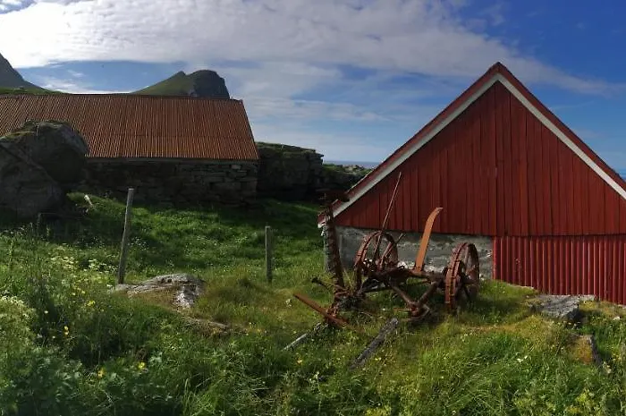 Lofoten Fjord *